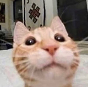 Meet your Posher, Ruby